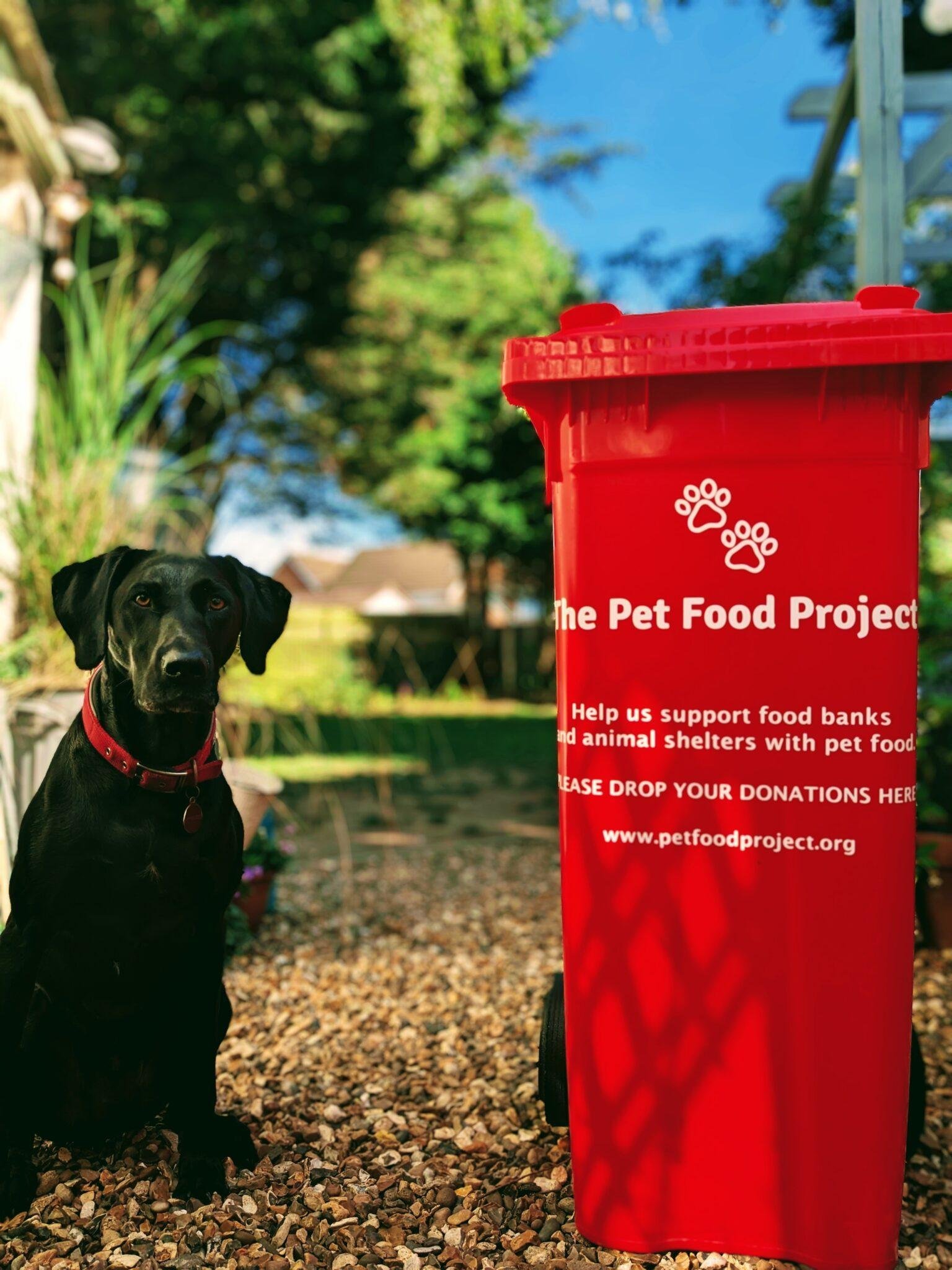 Supporting Food Banks & Animal Shelters Wirral & Liverpool